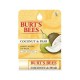 Burt's Bees Protetor Labial Coco e Pera