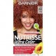 Garnier Nutrisse Tintura de Cabello RZ4 Bronze